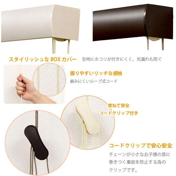 ロールスクリーン エクシブ 【遮光タイプ 】 幅165 × 高さ220cm 全2色 どちらか_3