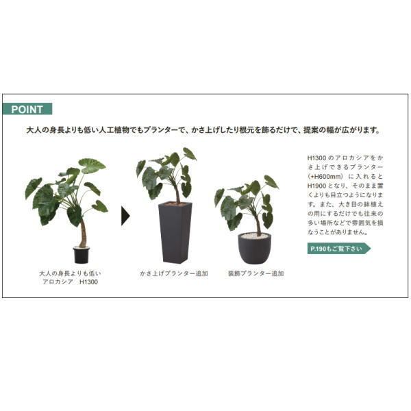 グローベン 人工植物 樹木・屋内用 ストレチア H1200 A70TN142の画像