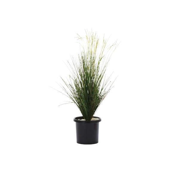 グローベン 人工植物 樹木・軒下用 リバーグラス H1100 A70TN501