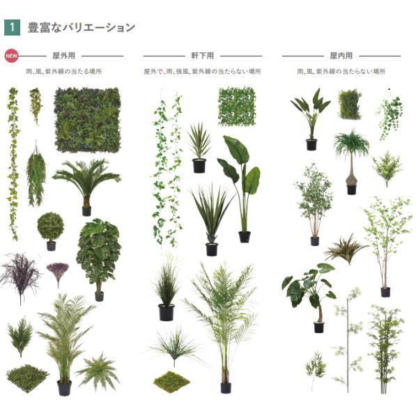 グローベン 人工植物 樹木・屋外用 フェイクグリーン ソテツ UV H1100