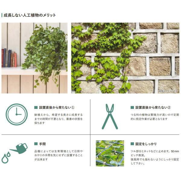 グローベン 人工植物 屋外用ガーランド ファーンガーランド FUV H800 A70TR751 |  | 01