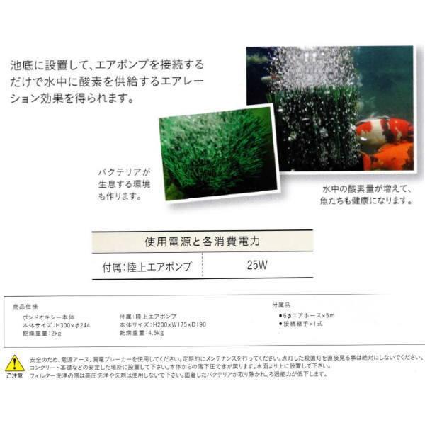 グローベン オキシーテック ポンプセット C50PT010 |  | 01