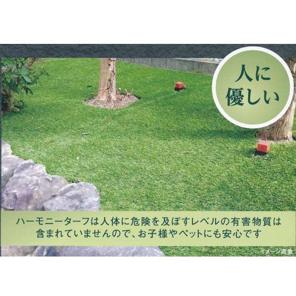 リアル人工芝 ハーモニーターフ リアル 40mm 1m巾×10m長 : イーヅカ