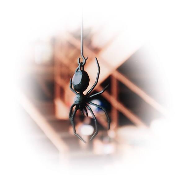 ジャービス商事 クモハンガー 34137 アイアン製 インテリア置物 W90×H500×D35mm | 