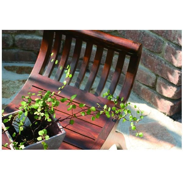 ジャービス商事 室内用 ユーユチェア 36339 |  | 01