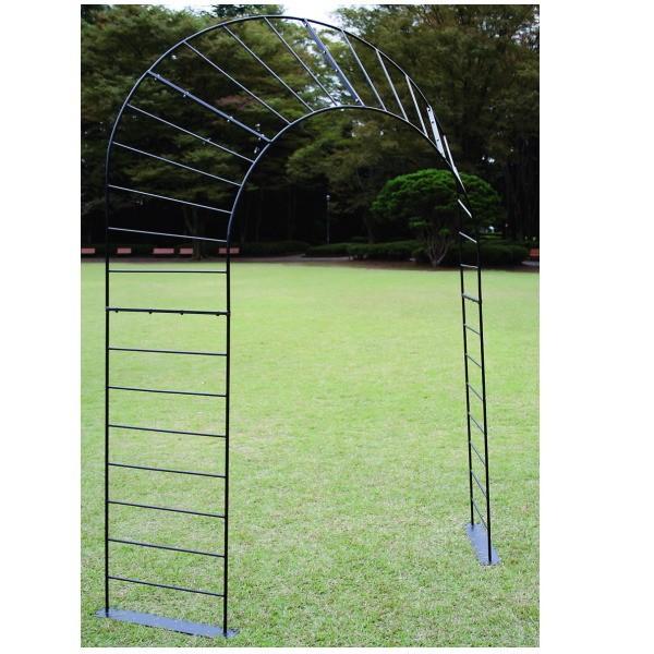 ジャービス商事 ピーコックアーチ 36455 |  | 01