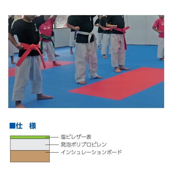 KLASS スポーツ畳マット RIO 880×1760mm TB20020 |  | 01