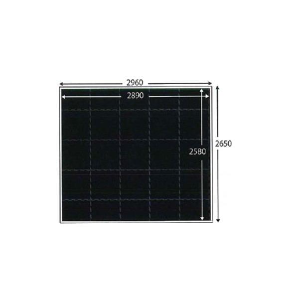 KLASS ジムボードユニット ワイドタイプ W2960×L2650×H70mm TJM0063 【送料別途お見積り】