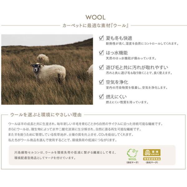 川島織物 ウールタイルカーペット プレミアムバンク グランド PB-706 600mm×600mm 16mm厚 12枚入り | 川島織物セルコン | 04