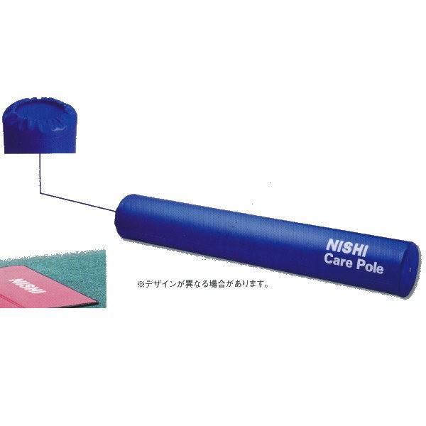 NISHI(ニシ・スポーツ) ケアポール NT7991のおすすめ人気商品