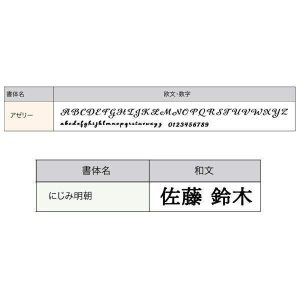 オンリーワンクラブ 表札 ネームプレート ゴミリ 漢字+英字 5mm厚・M