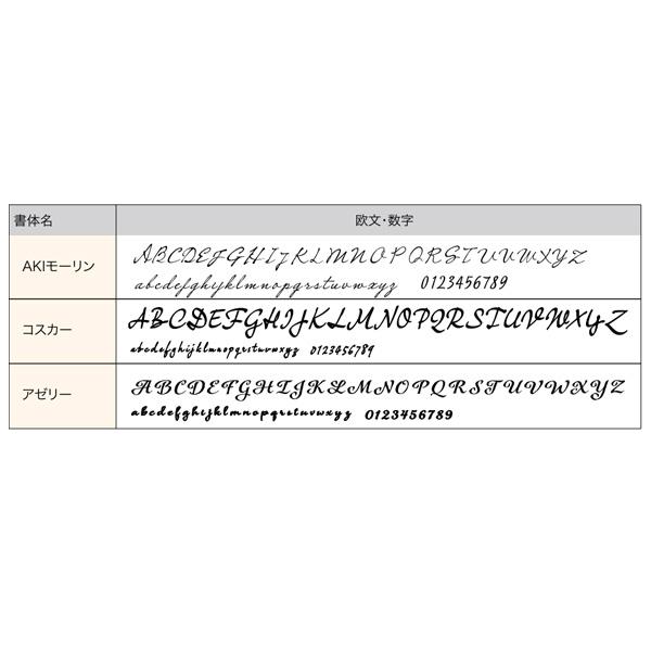 オンリーワンクラブ 表札 ネームプレート ゴミリ 英字 5mm厚 W170〜220