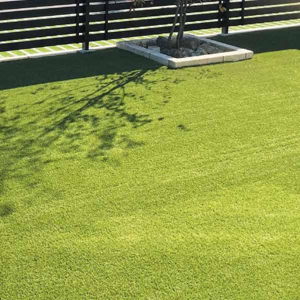 オンリーワンクラブ 人工芝 プロターフ スタンダード110 1m×10m AN2