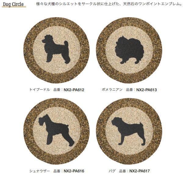 イヌページ ドッグ・トレーナーに必要な「複数の犬を同時に扱う」テクニック