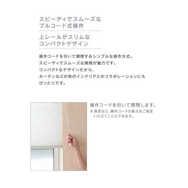 セイキ ハニカム サーモスクリーン ライト スタンダード 採光 幅1201〜1300mm 高さ2051〜2250mm_2