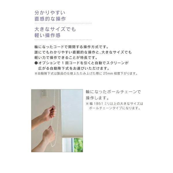 セイキ ハニカム サーモスクリーンライト ボールチェーン 採光 幅601〜700mm 高さ551〜750mm