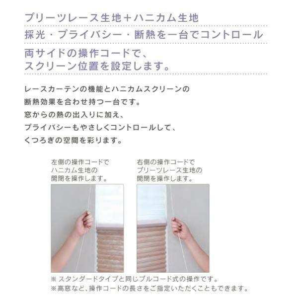 セイキ ハニカム サーモスクリーンライト ツイン 採光 幅901〜1000mm 高さ2051〜2250mm_2