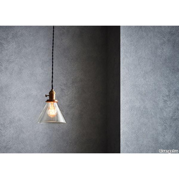 サンゲツ（SANGETSU） 壁紙 process#100 LUSTRE ARROW FE76049 1m長 糊