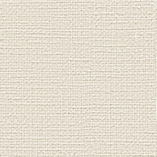 サンゲツ 壁紙 カラーセレクション FE76161 1m長 糊なし | サンゲツ