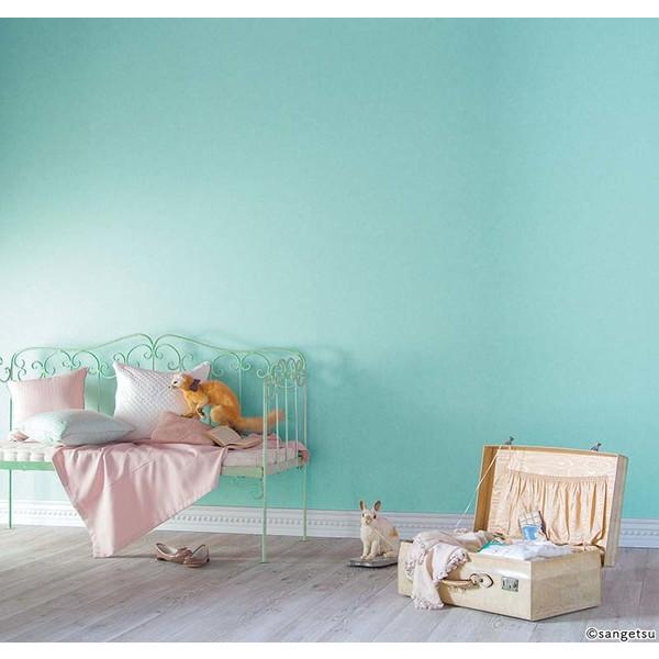 サンゲツ 壁紙 カラーセレクション FE76217 1m長 糊なし | サンゲツ | 01