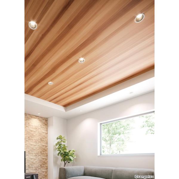 サンゲツ（SANGETSU） 壁紙 木目 FE76588 1m長 糊なし : イーヅカ