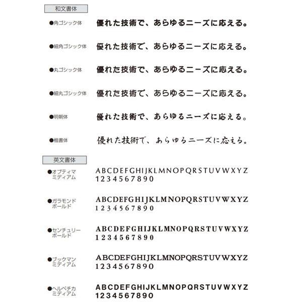 神栄ホームクリエイト 一般室名札 突出スイング型 SK-WN-1SW H80×W250×D18mm 文字入の画像