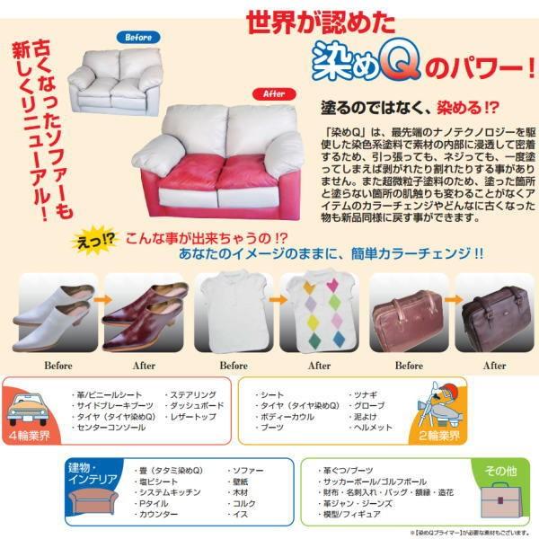 染めQテクノロジー 染めQ エアゾール 264ml |  | 01