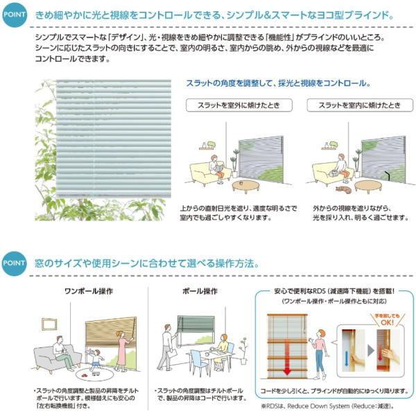 タチカワ ヨコ型 アルミブラインド シルキー RDS 幅2805〜3000mm 高さ