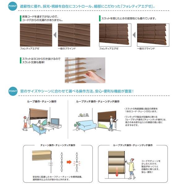 タチカワブラインド フォレティアエグゼ 50 国産材（スギ） FT-6203