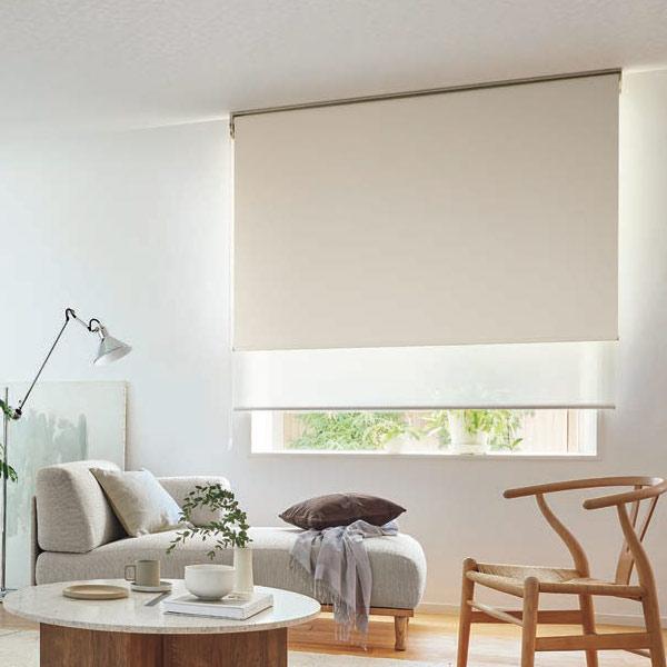 タチカワブラインド タチカワ ロールスクリーン ラルクシールド ビブレ