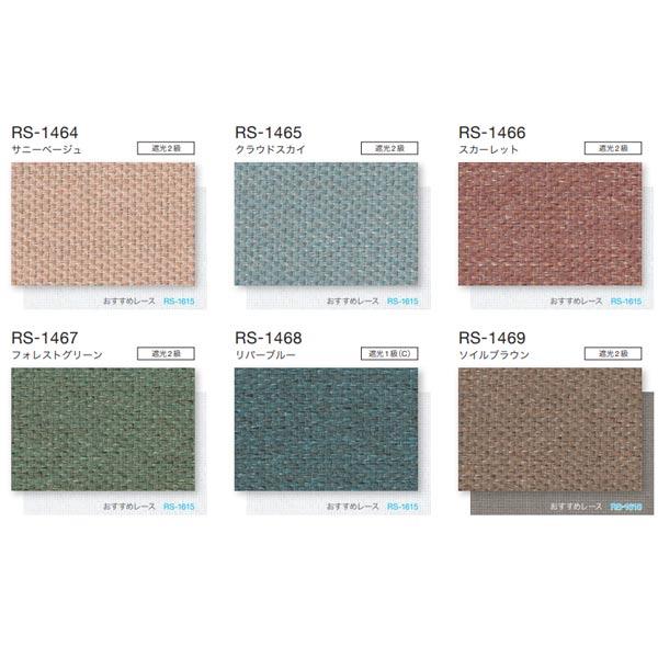 タチカワブラインド タチカワ ロールスクリーン ラルクシールド ルフト