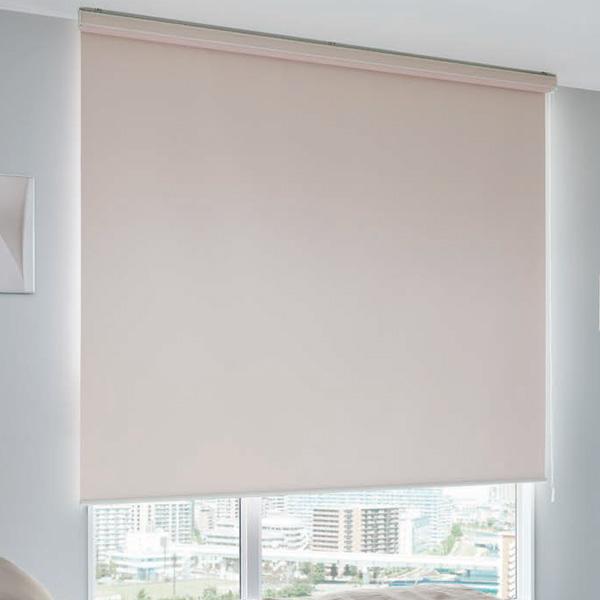 タチカワブラインド タチカワ ロールスクリーン ラルクシールド