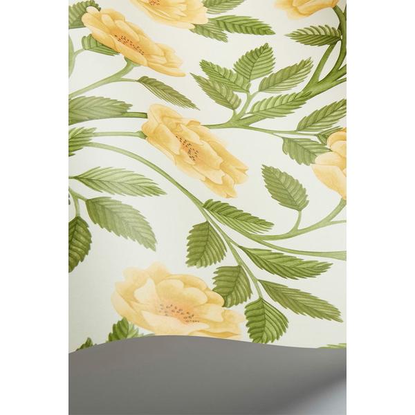 テシード 輸入壁紙 Cole&Son (イギリス) 52cm×10m巻 118/7015 |  | 01