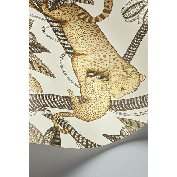 テシード 輸入壁紙 Cole&Son (イギリス) 52cm×10m巻 119/3013 |  | 01
