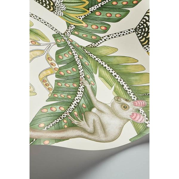 テシード 輸入壁紙 Cole&Son (イギリス) 52cm×10m巻 119/7035 |  | 01