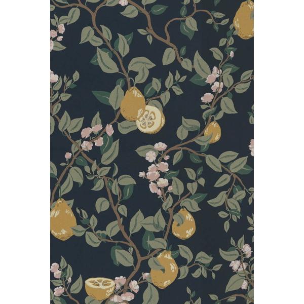 テシード 輸入壁紙 SANDBERG (スウェーデン) 53cm×10m巻 432-96 |  | 01