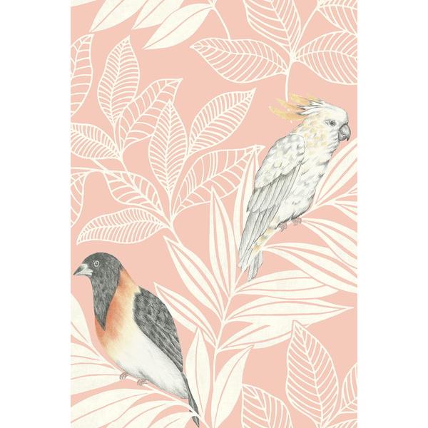 テシード 輸入壁紙 WALLQUEST (アメリカ) 52cm×10m巻 RY30101 | 