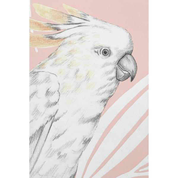 テシード 輸入壁紙 WALLQUEST (アメリカ) 52cm×10m巻 RY30101 |  | 01