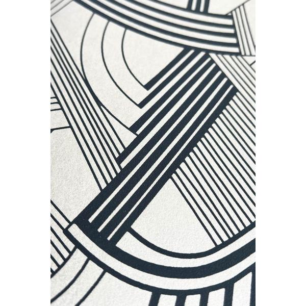 テシード 輸入壁紙 CASADECO (フランス) 53cm×10m巻 TWNT88699191_6