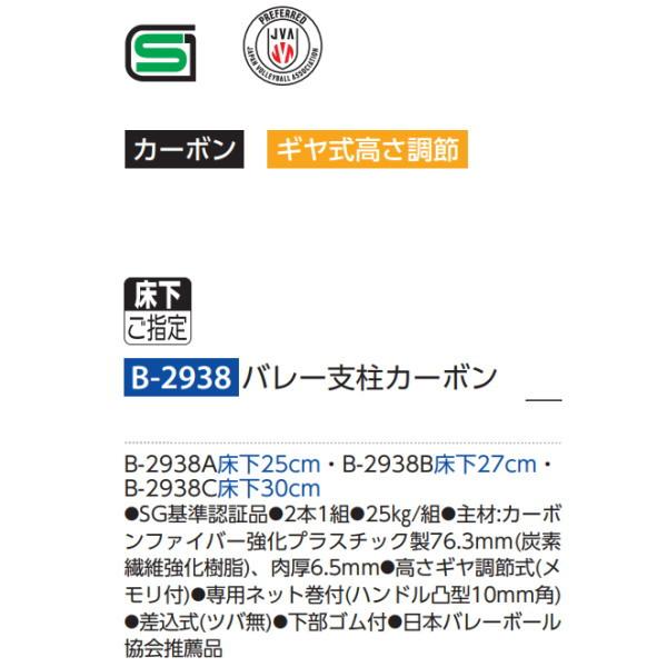トーエイライト バレー支柱カーボン B-2938B 床下27cm_1