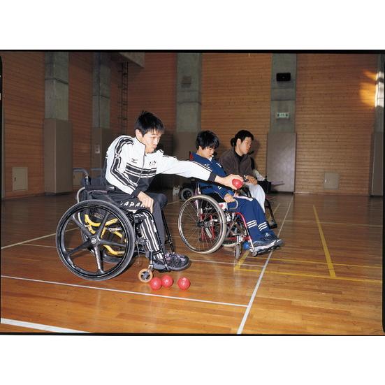 トーエイライト ボッチャボール B3812の画像