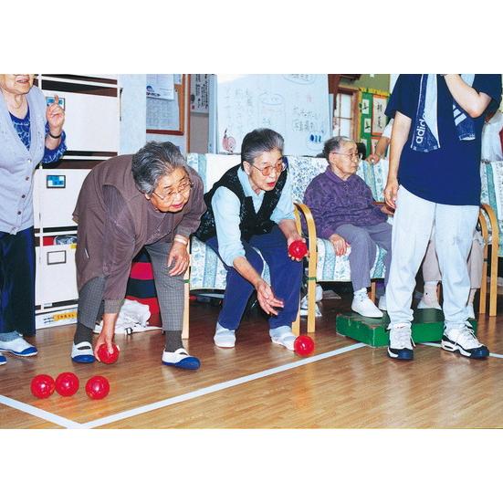トーエイライト ボッチャボール B3812の画像