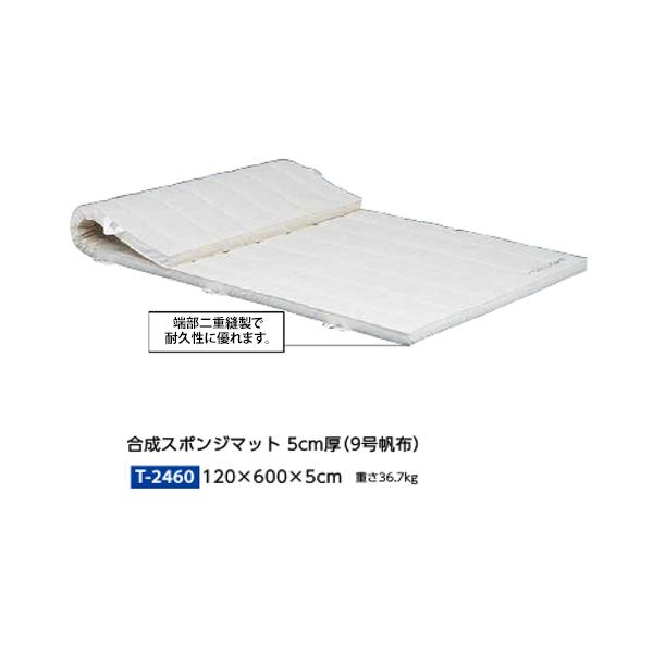 トーエイライト 合成スポンジマット 5cm厚 9号帆布 120×600×5cm T2460