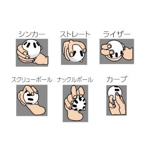TOEI LIGHT（トーエイライト） ウィッフルボール（ベースボールサイズ