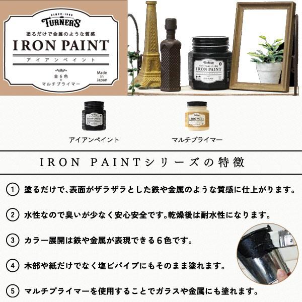 ターナー色彩 アイアンペイント 水性塗料 アイアンブラック 200ml｜interiortool｜02