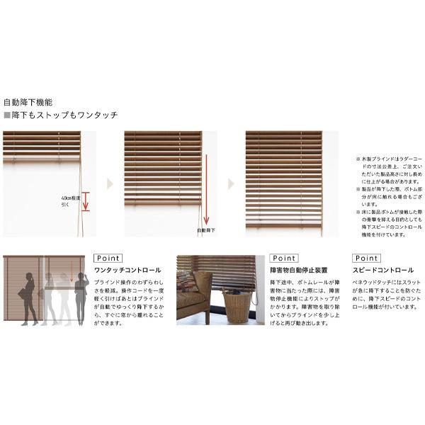 【美品】 トーソー ウッドブラインド コルト ベネウッドタッチ 自動降下タイプ TM-2401〜TM-2409 幅2205〜2400mm 高さ1210〜1400mm 【EIM6285736474】(22254円)