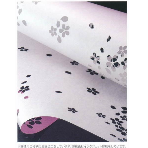 ワーロン PETシート 雲竜 TW-2 0.2mm厚 930×1850mm 1枚 |  | 01