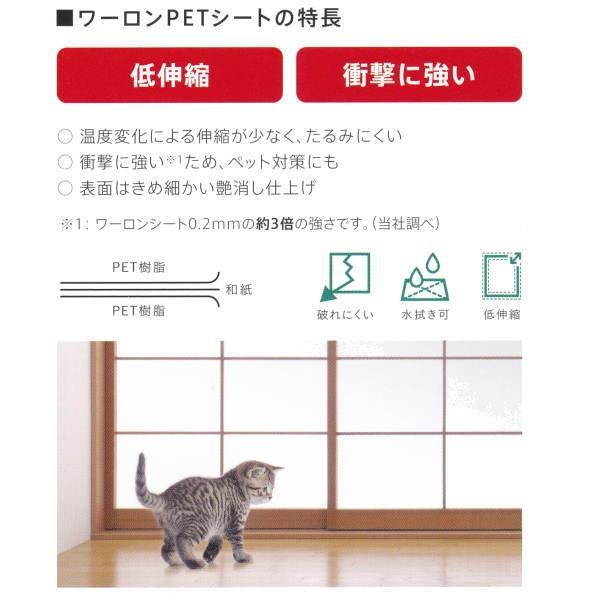 ワーロン PETシート 雲竜 TW-2 0.2mm厚 930×1850mm 1枚 |  | 02