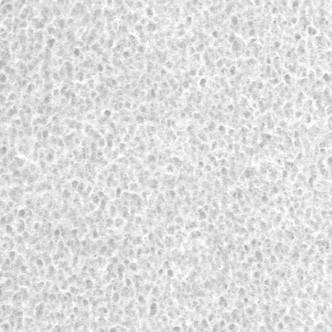 ワーロンプレート 春雨 V1 1mm厚 930×1850mm 1枚 防炎認定品 | 