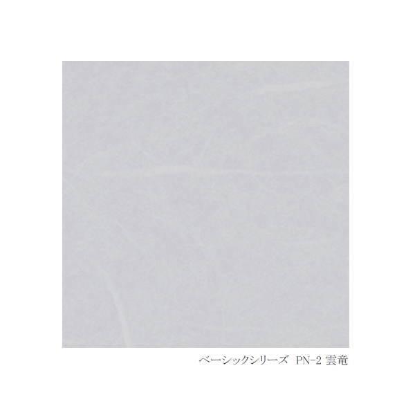 アクリワーロン PN-2/PN-52/PN-90 2mm厚 1000×2000mm どれか1枚 | 